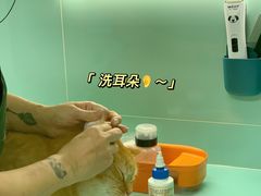 -猫宠乐园·专业洗护
