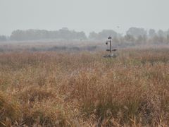 -野鸭湖国家湿地公园