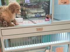 -FAELING PETS美天灵宠物(合生汇店)