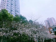 -玛格萝妮比萨屋(四平店)