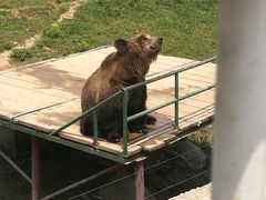 -宿豫区运河湾森林动物园
