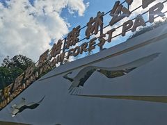 -西双版纳原始森林公园