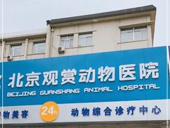 -北京观赏动物医院·24小时大型综合·猫专科·异宠专科
