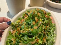 -油梨树 AVOCADO TREE(亮马桥店)