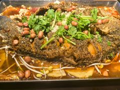 -眼镜哥浦江夜宵大本营