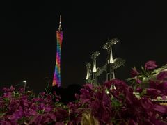 -广州都市观光巴士(粤陶巴)