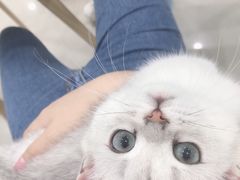 -佳雯宠物医院(金华南路分院)