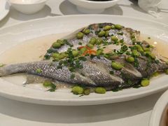 深海大黄鱼-乾隆美食·本帮菜(黄河路店)