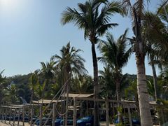 -精酿农场Brew Farm·沙漠绿洲餐厅