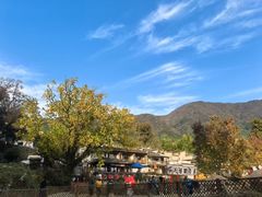 -塔川景区