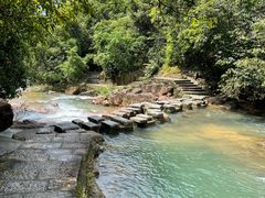 -广州白江湖森林公园