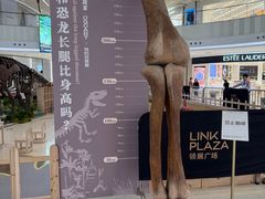 -上海七宝领展广场