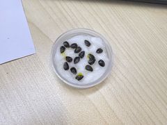 -庆丰包子铺(安东店)