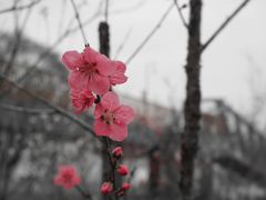 -滨江生态公园