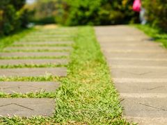 -优游吧斯邹族文化部落