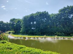 -广州长隆飞鸟乐园