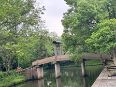 -西溪国家湿地公园