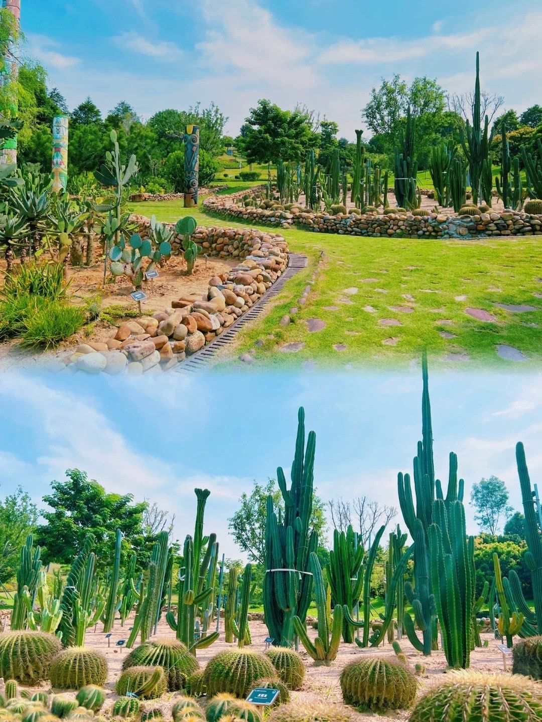 东莞遛娃必打卡东莞植物园