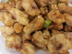 -金鹏鱼肉馆