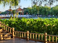 -长春市南湖公园