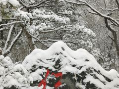 -迎泽公园