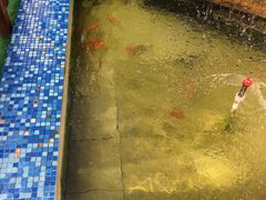 -昱南托育园.托班晚托.寒暑假班