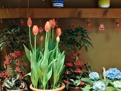 -耕渔小院·湖南鱼鲜(望城店)