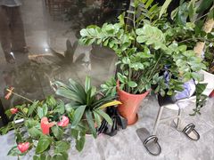 -张钰强中医正骨推拿连锁(唐家人才公寓店)