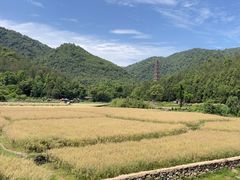 -天台山景区