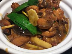 香菇笋儿鸡-福茂源横山铁锅羊肉(牡丹园店)