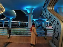 -演武大桥观景平台