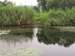 -永定河休闲森林公园