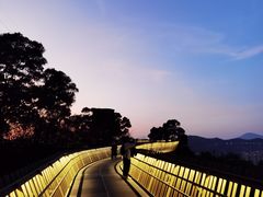 -福道