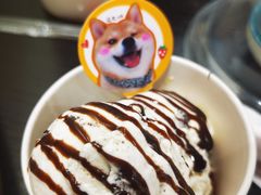 -逗柴咖啡屋·狗咖猫咖宠物桌游
