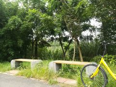 -白鹭湾湿地公园