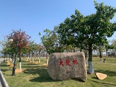 -芒洲湿地公园