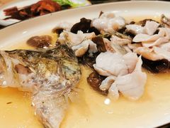 沾水鲈鱼-新南华大酒店(广中店)