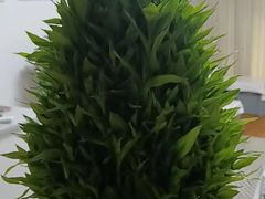 -静沐人生养生馆(佳宁娜分店)