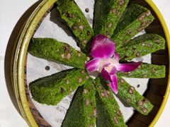 -阿露佳·舌尖上的安吉菜