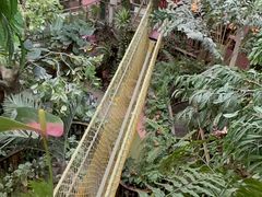 -正佳雨林生态植物园