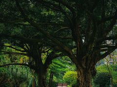 -荔香公园