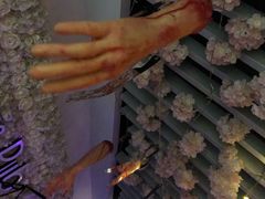 -樱花里音乐餐吧·牛扒椰子鸡(东圃店)