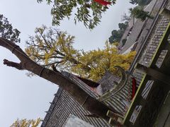 -金堂县云顶石城风景区