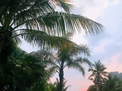 -碧桂园十里银滩