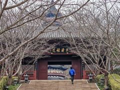 -牛首山文化旅游区