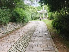 -青龙山公园