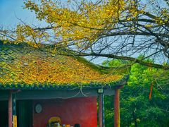 -佛荫寺