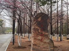 -汉口江滩-五福广场