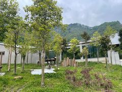 -卧龙中华大熊猫苑神树坪基地