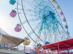 -巨鹏飞梦幻海岸